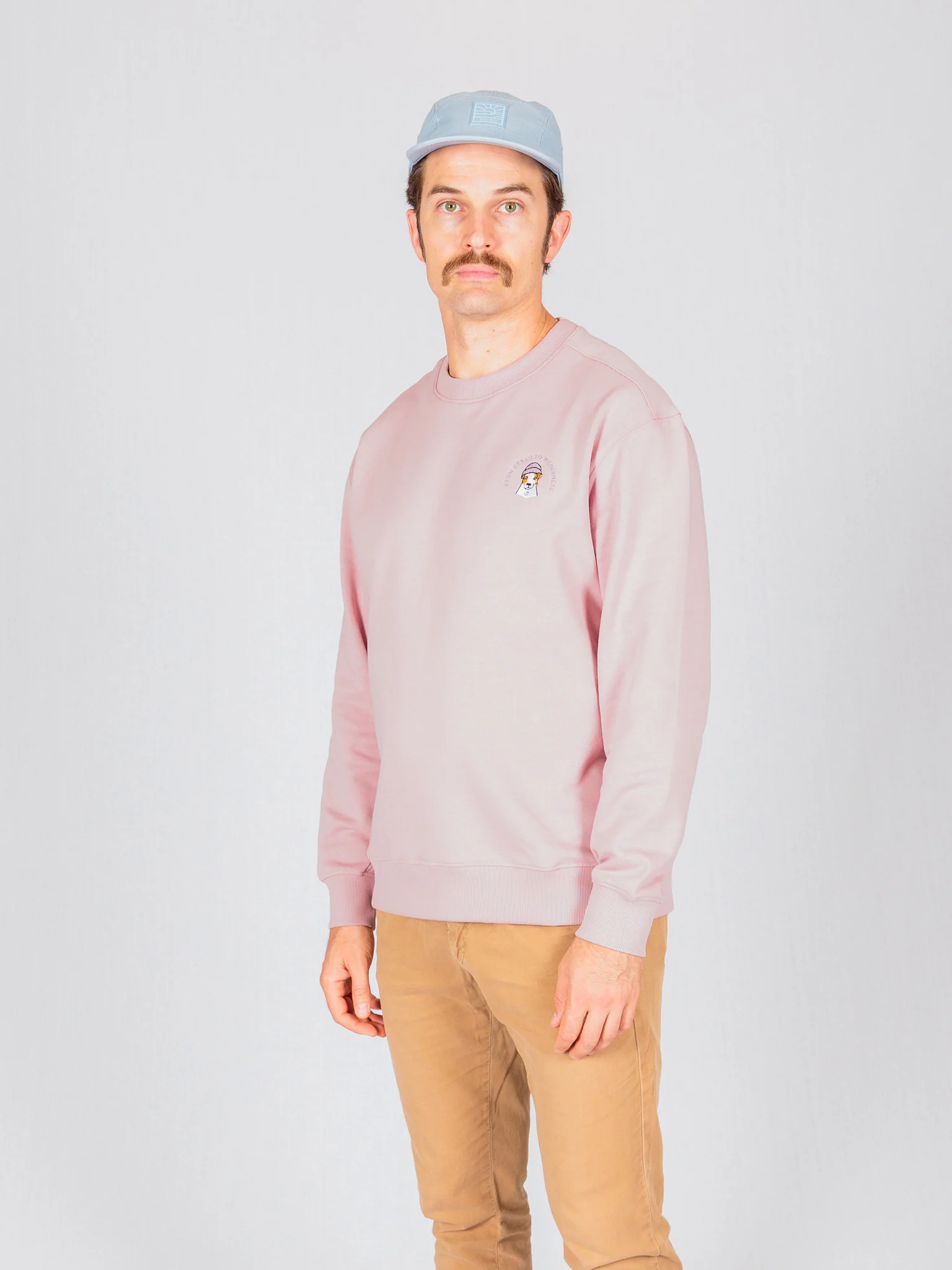 Boss Dog Sweatshirt, Muted Pink - Image 4