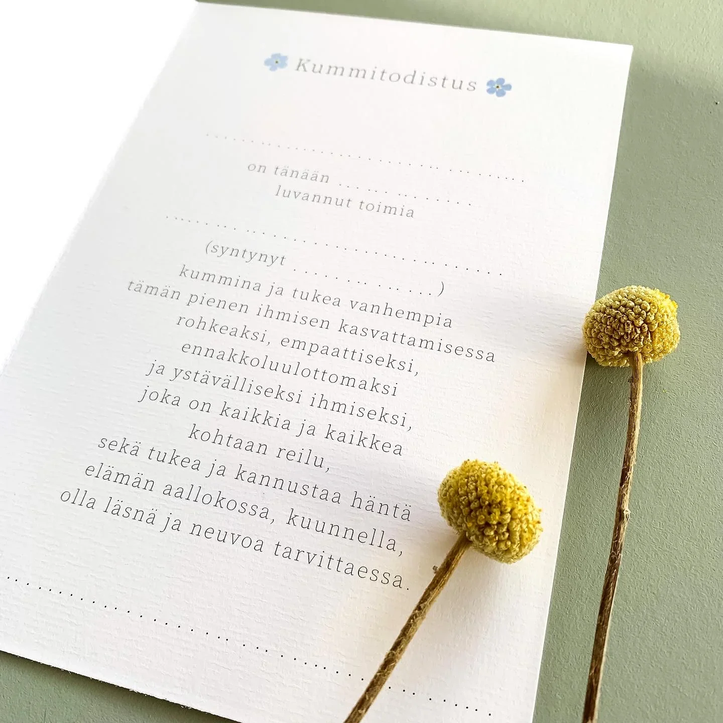 Helle Kummitodistus, useita vaihtoehtoja - Image 4